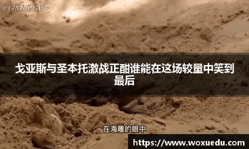 28圈官方网站
