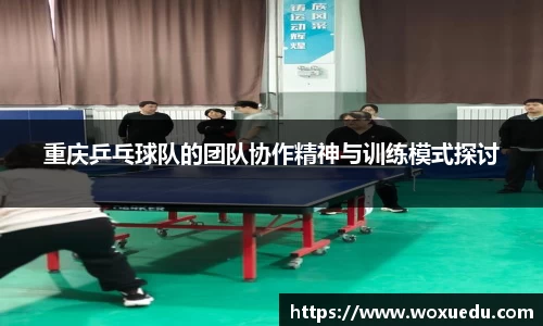 28圈官方网站