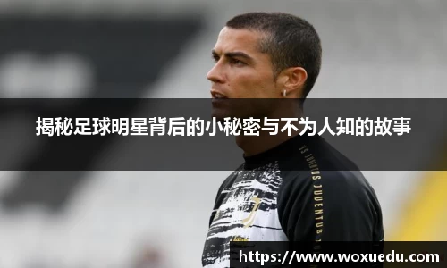 28圈官方网站